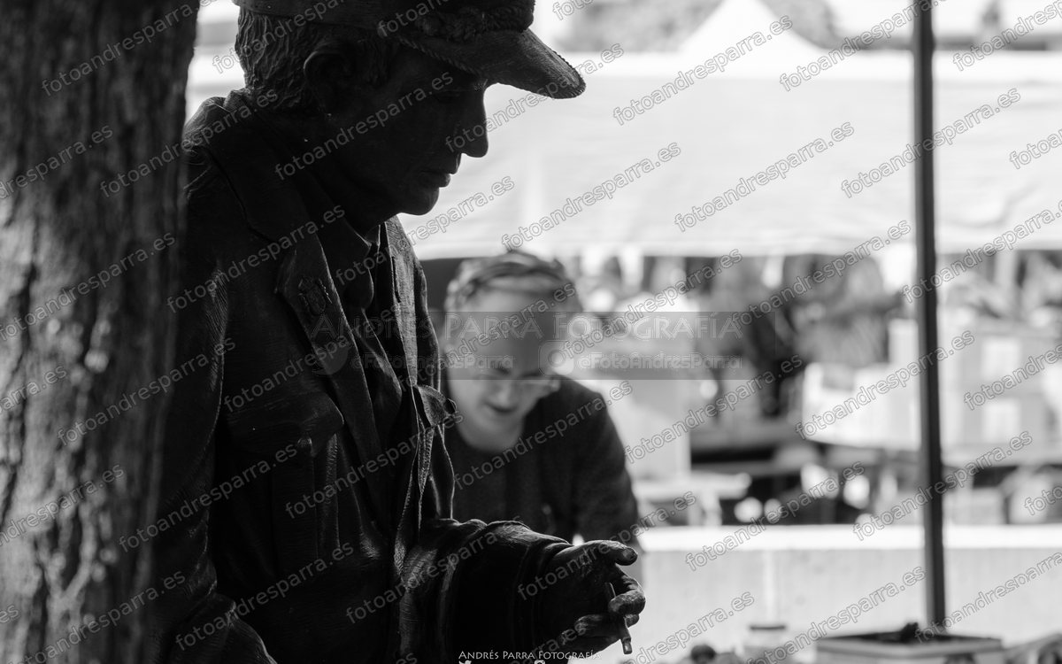 Fotos de Mercado Tradicional Tomelloso 2025